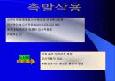 건강과 식품영양-환경호르몬 문제에 관한 비판적 이해와 분석 7페이지