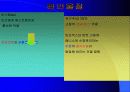 건강과 식품영양-환경호르몬 문제에 관한 비판적 이해와 분석 11페이지