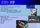건강과 식품영양-환경호르몬 문제에 관한 비판적 이해와 분석 12페이지