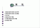 준법 감시 업무 규정에 관한 실제 사례 분석 -Corporate Compliance Program 2페이지
