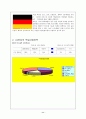 LG전자의 점진적인 세계화-LG전자의 해외진출전략과 마케팅 전략 11페이지