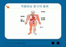 장기등 이식에 관한 법률에 관한 조사 3페이지