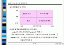 정보시스템의 개발 과정에 대한 이해와 분석 19페이지