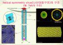 바이러스와 생활 8페이지
