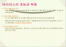 바이러스와 생활 11페이지
