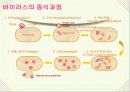 바이러스와 생활 13페이지