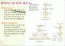 바이러스와 생활 15페이지