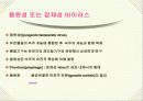 바이러스와 생활 17페이지