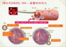 바이러스와 생활 24페이지