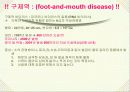 바이러스와 생활 25페이지