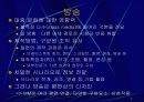 멀티미디어 디자인 이슈 5페이지
