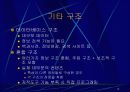 멀티미디어 디자인 이슈 12페이지