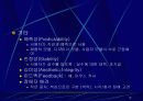 멀티미디어 디자인 이슈 19페이지
