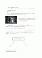롯데칠성의 이프로(2%)의 마케팅 및 광고 전략 13페이지