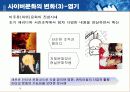 사이버 문화와 일탈 13페이지