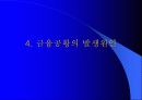 금융자유화와 금융공황 10페이지