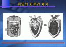 산업 재산권 11페이지