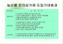 전자상거래를 이용한 농산물 유통체계 개선 방안 10페이지
