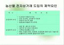 전자상거래를 이용한 농산물 유통체계 개선 방안 11페이지