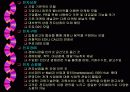 인터넷 비즈니스 모델 13페이지