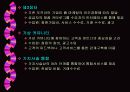 인터넷 비즈니스 모델 14페이지