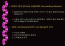 인터넷 비즈니스 모델 27페이지