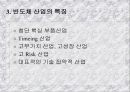 우리나라의 반도체 산업의 현황 4페이지