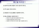 인터넷과 정보화 사회 14페이지