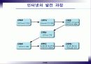 인터넷과 정보화 사회 21페이지