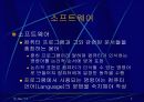 소프트웨어 3페이지