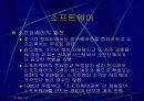 소프트웨어 4페이지