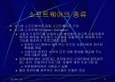 소프트웨어 5페이지