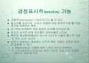 시의 언어 13페이지