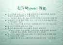 시의 언어 15페이지