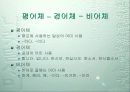 시의 언어 25페이지