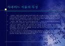 중동의 직물 13페이지