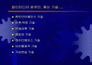 교육용 멀티미디어 컨텐트 개발기술 동향 11페이지