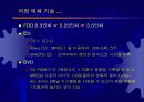 교육용 멀티미디어 컨텐트 개발기술 동향 18페이지