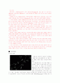 별자리와 신화의 이해 15페이지