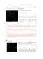 별자리와 신화의 이해 64페이지