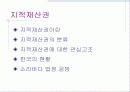 지적재산권 2페이지