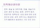 지적재산권 3페이지