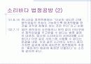 지적재산권 9페이지