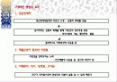 치료견 3페이지