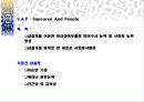 치료견 8페이지