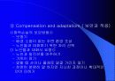 감각기관의 변화와 그들의 사회적 결과 11페이지