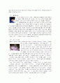 SK 텔레콤의 TTL 마케팅 전략 37페이지