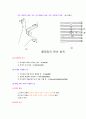 기초 전자이론 20페이지