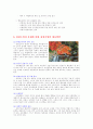 관광기업의 소비자문제 발생 사례 14페이지
