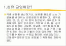 우리나라 섬유산업 2페이지